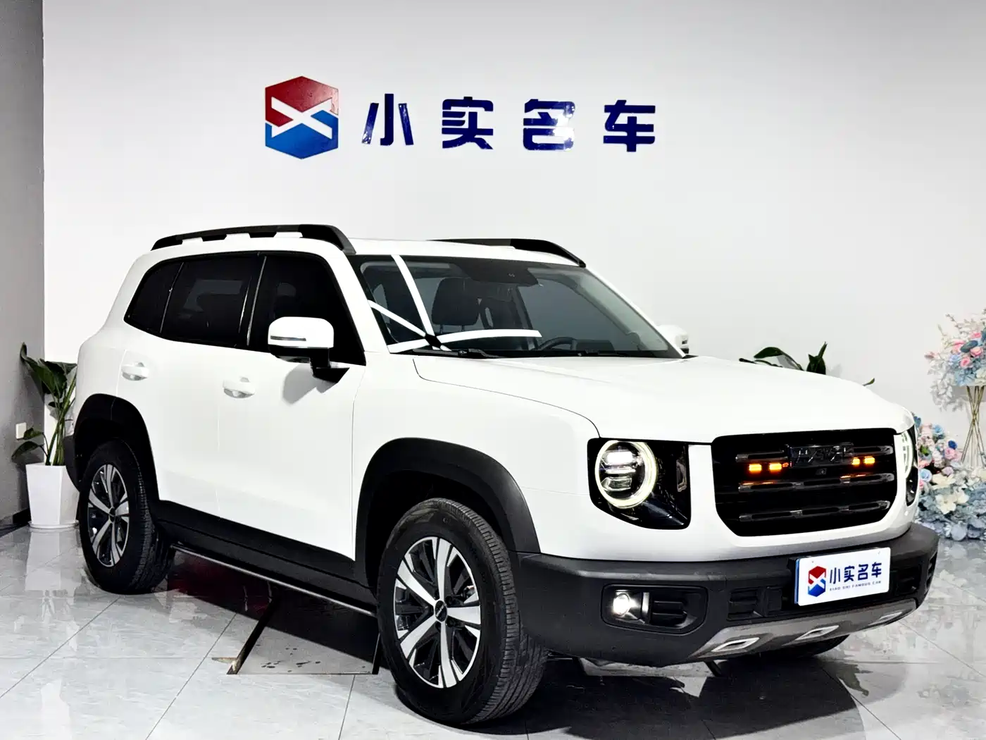 Haval Big Dog 2022 1.5T DCT FWD Labrador Edition фото 3
