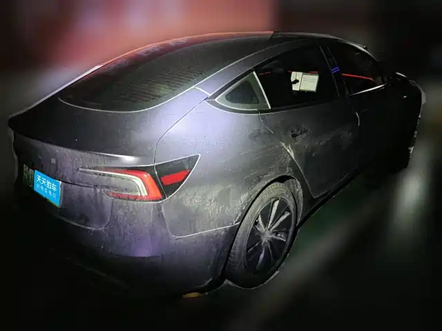 Tesla Model 3 2025 Model Rear-Wheel Drive Edition — фото 2