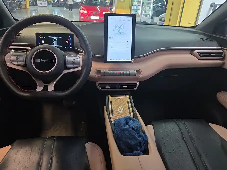 BYD Seagull 2023 Vitality Edition фото 12