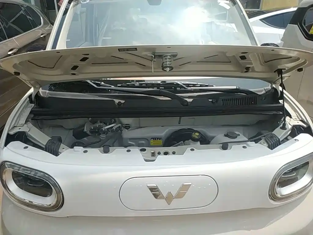 Фото 20 - Wuling Motors Hongguang MINIEV