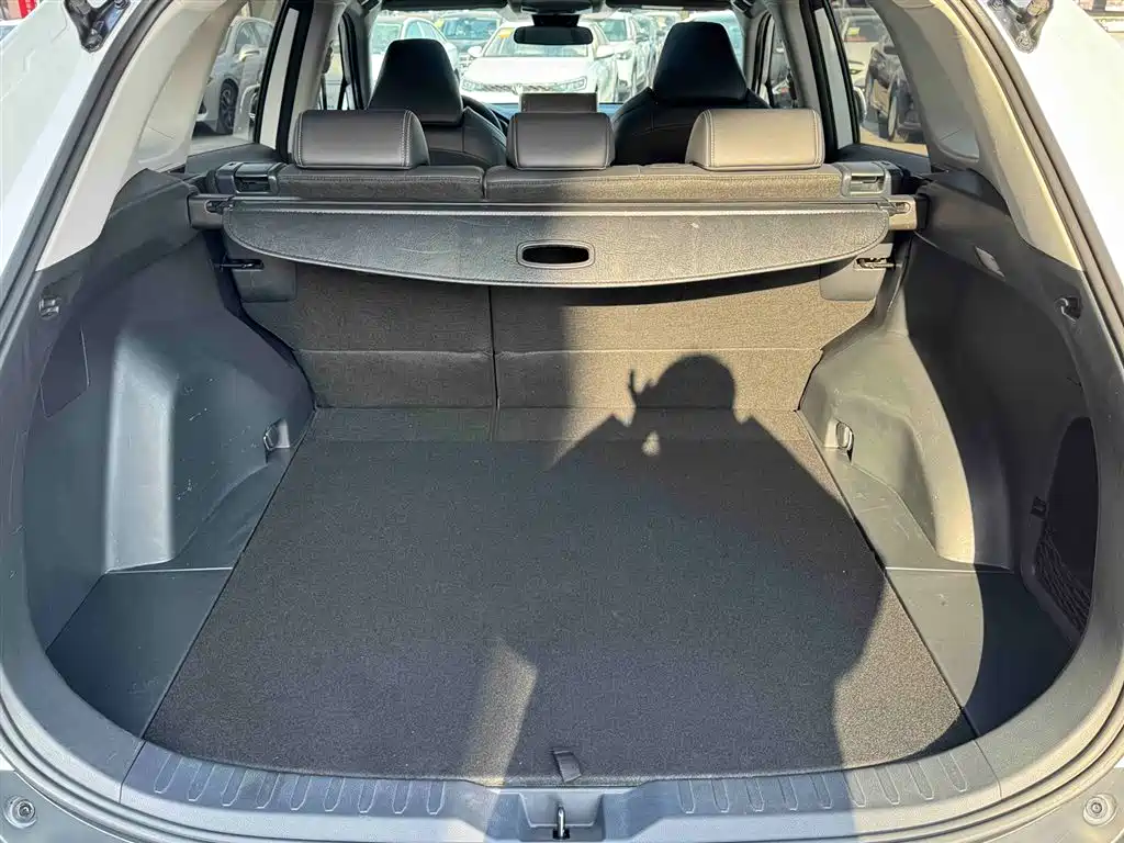 Toyota Wildlander 2022 2.0L CVT FWD Luxury Edition фото 19