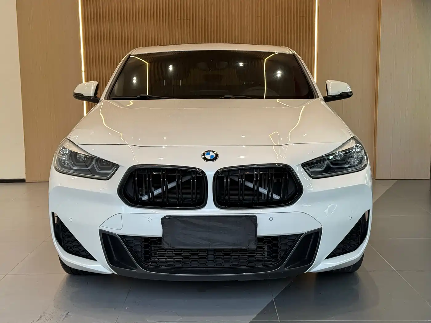 BMW X2 2020 sDrive25i Leading M Sport Package фото 2