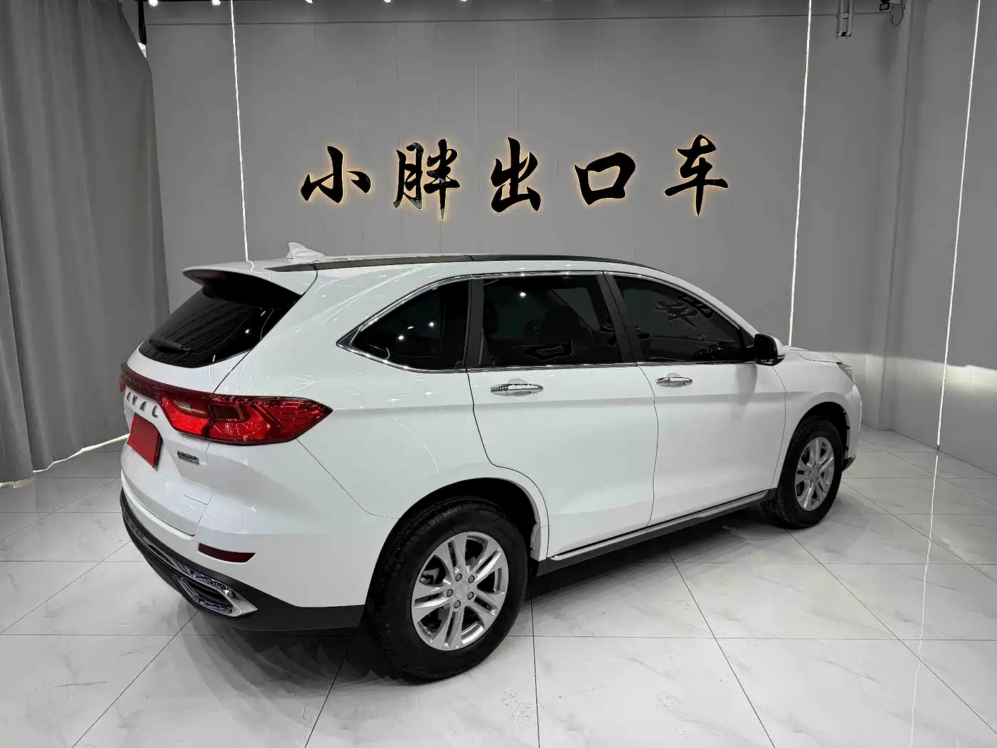 HAVAL M6