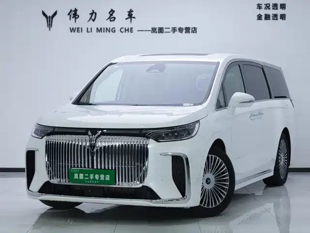 Voyah Auto Voyah Dreamer 2025