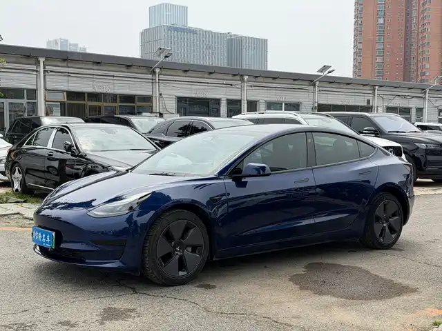 Tesla Model 3 2022