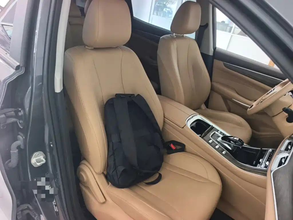 Landian E5 2024 2024 Glory Edition 100KM Comfort Type 7-Seater