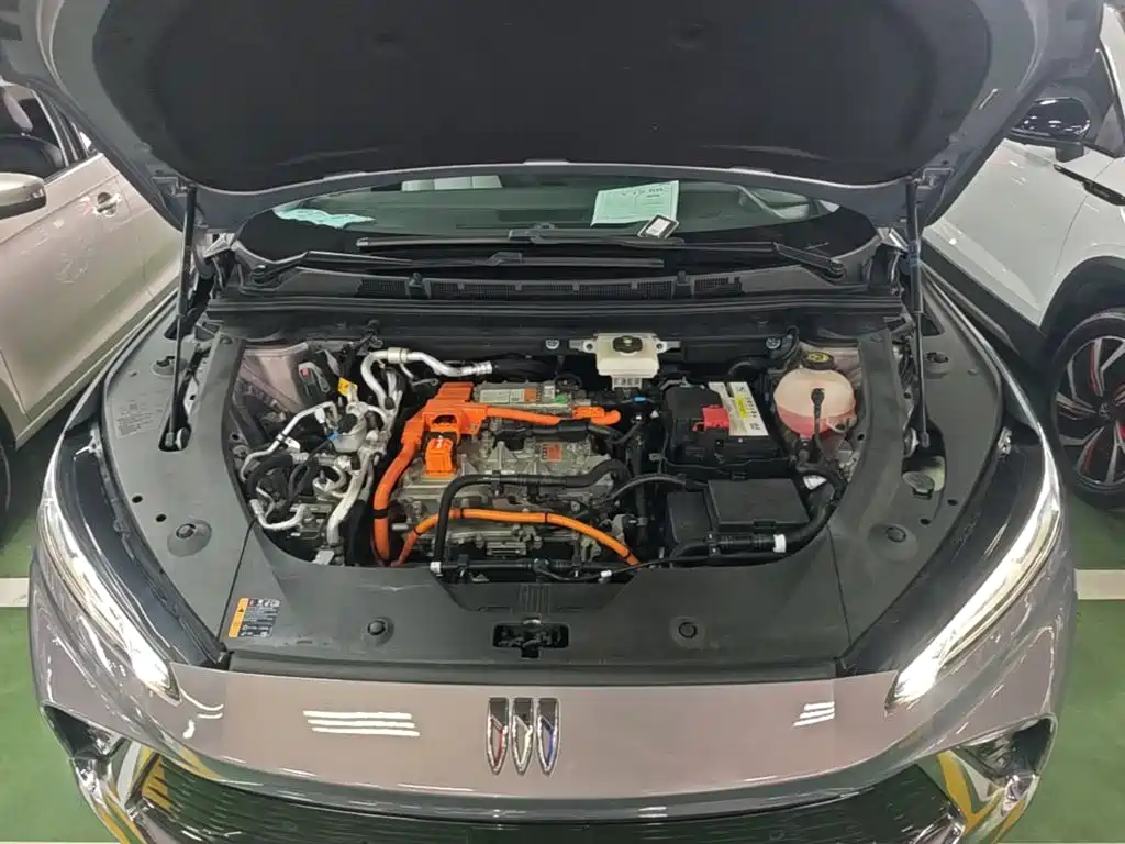 Фото 20 - Buick E4
