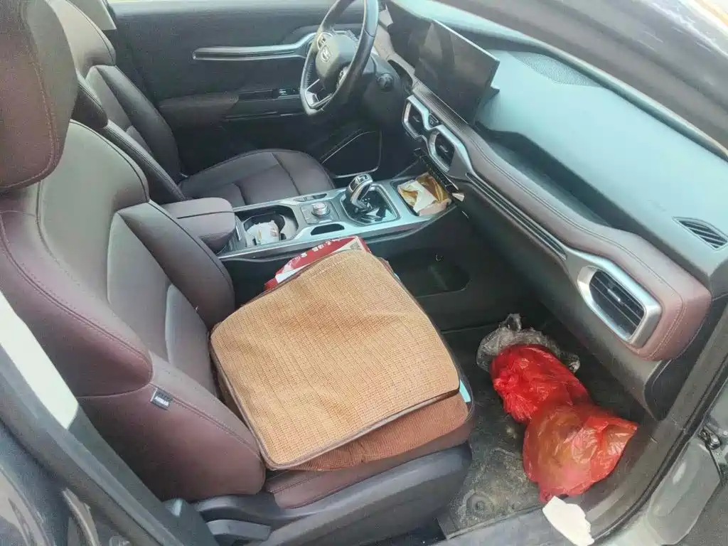 Geely Okavango 2022 2022 1.8TD Automatic Premium 7-Seater