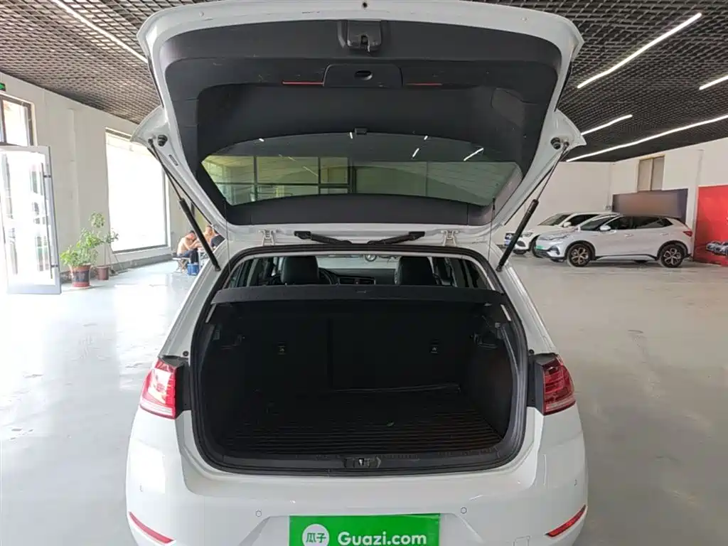 Volkswagen Golf 2019 200TSI DSG Comfort Progressive China VI фото 19