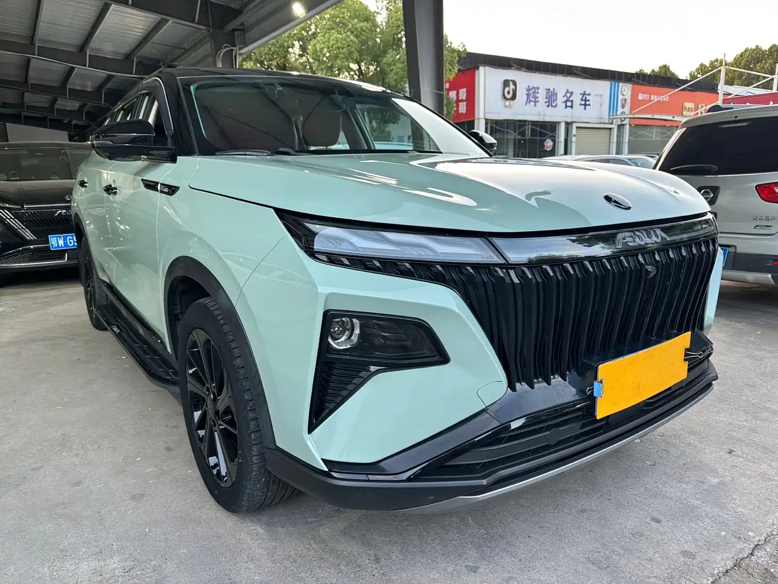 Фото 3 - Dongfeng Aeolus Haoji