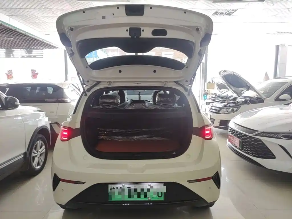 BYD Dolphin 2026 2025 Smart Drive Edition 420km Freedom Version