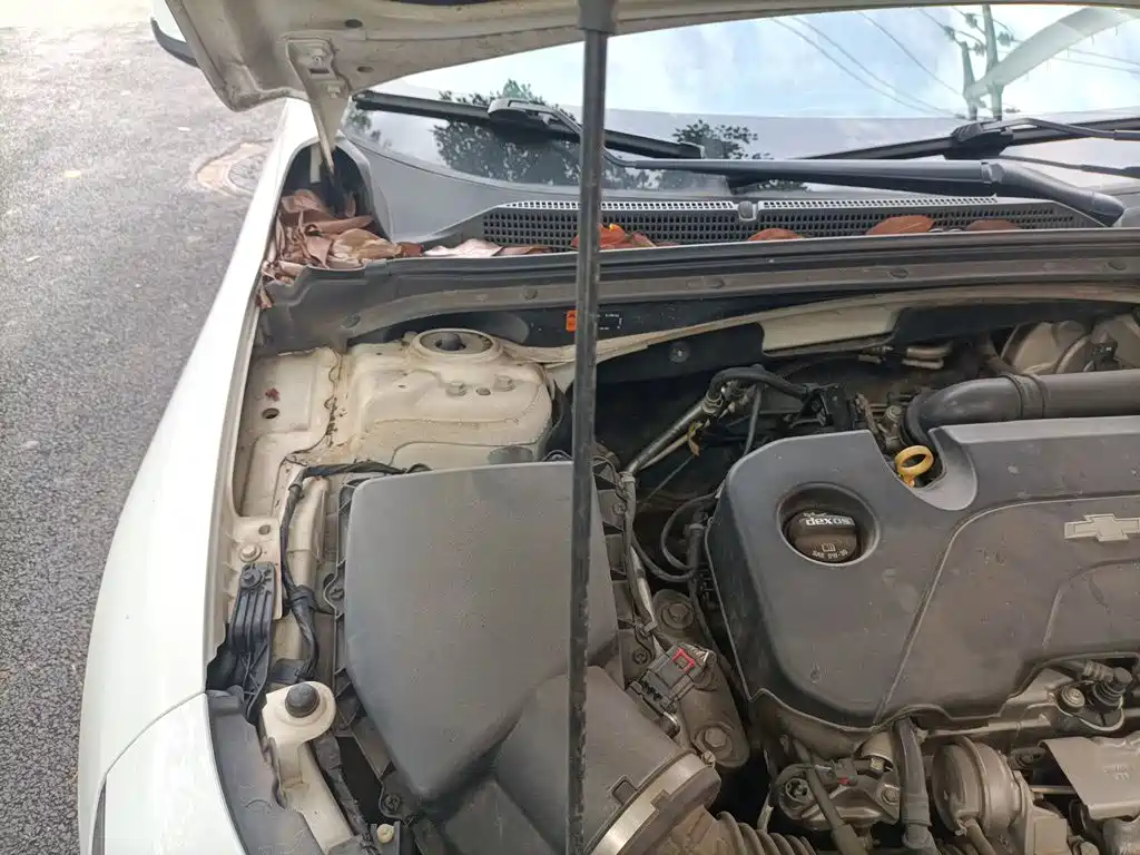 Chevrolet Malibu XL 2018 2018 530T Auto RuiChi Edition