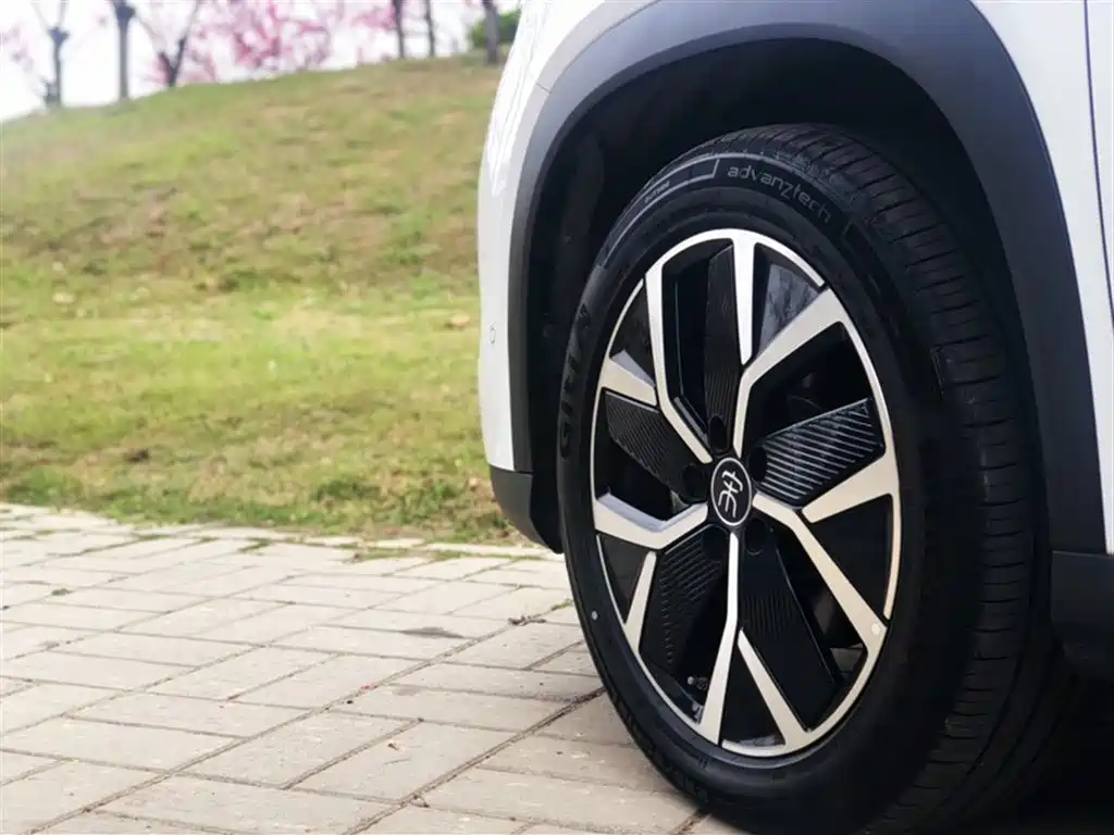 BYD Song L DM-i 2025 Smart Drive 160km Premium фото 14