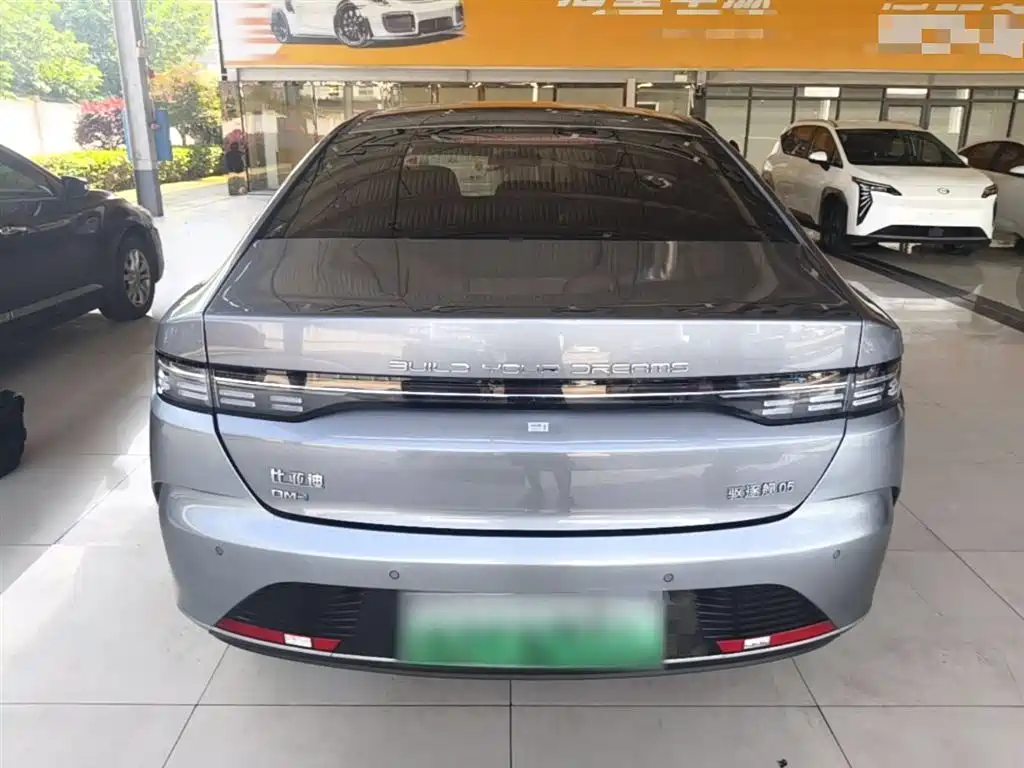 BYD Destroyer 05 2023 Champion Edition DM-i 55KM Luxury фото 6