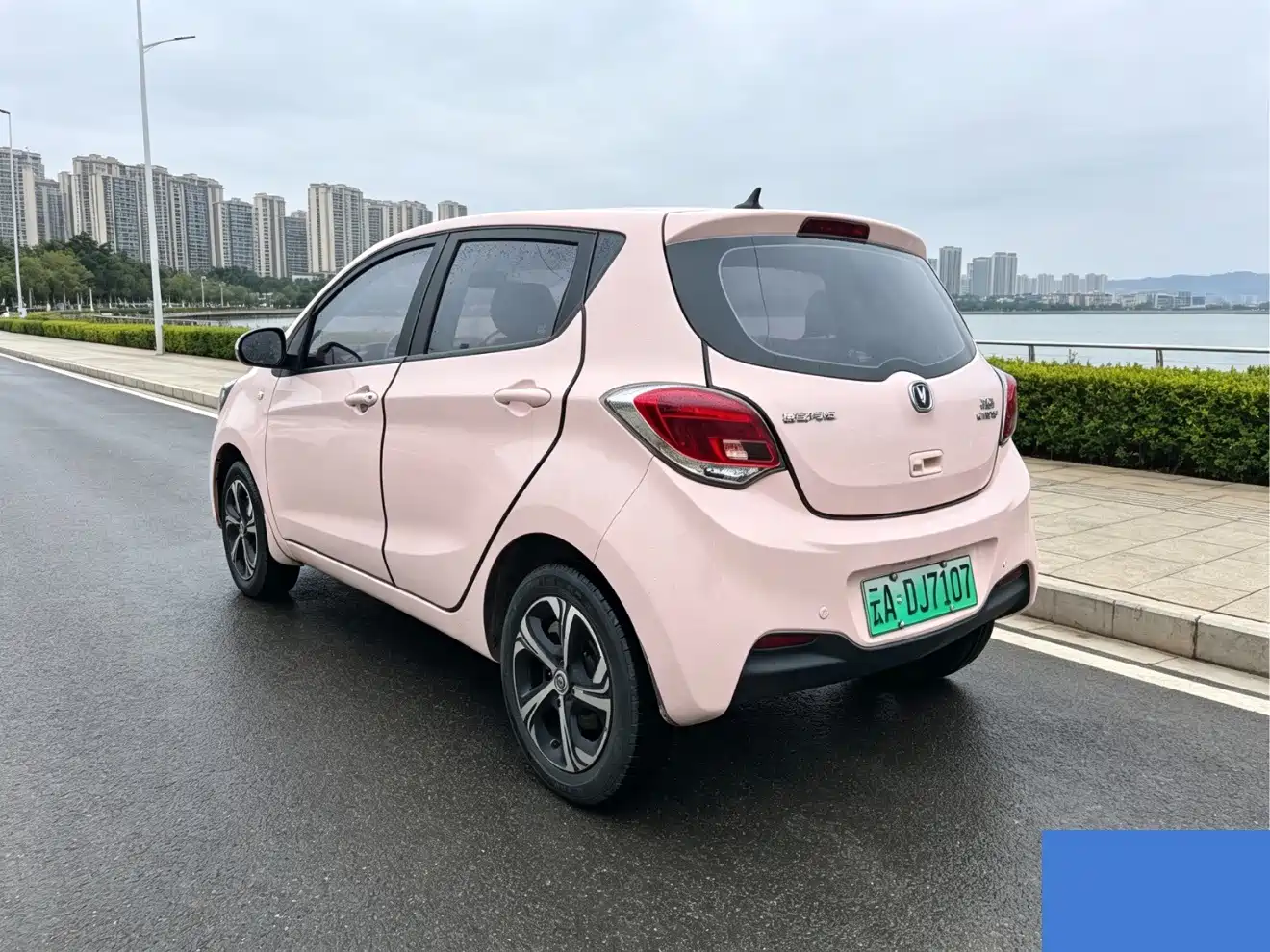 Photo 6 - Changan Benben E-Star