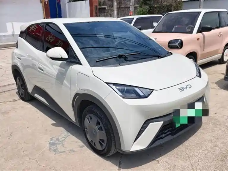 BYD Seagull 2024 Glory Edition 305km Vitality Edition фото 3
