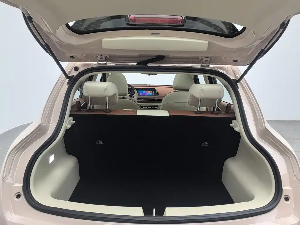 Ora Good Cat 2024 2024 401km Luxury