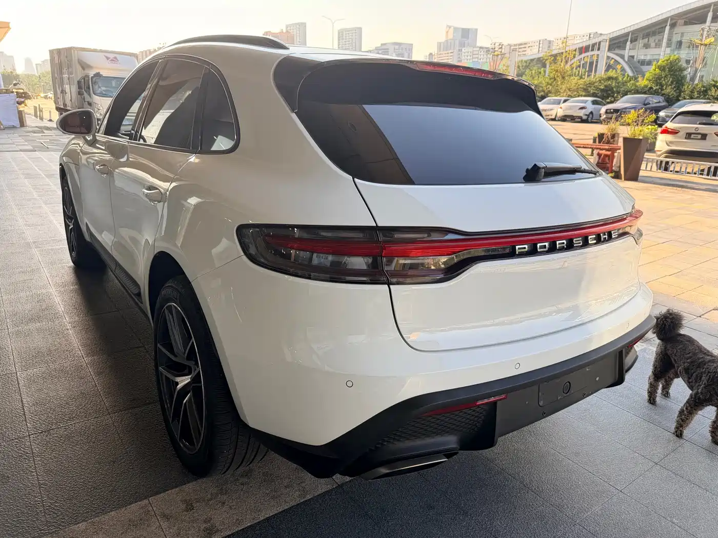 Porsche Macan 2024 2024 Macan 2.0T