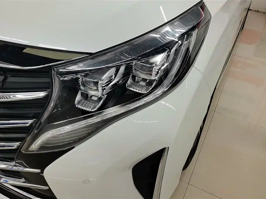 GAC Trumpchi Trumpchi M8 2021 Leading Show Series 390T Prestige Edition фото 5