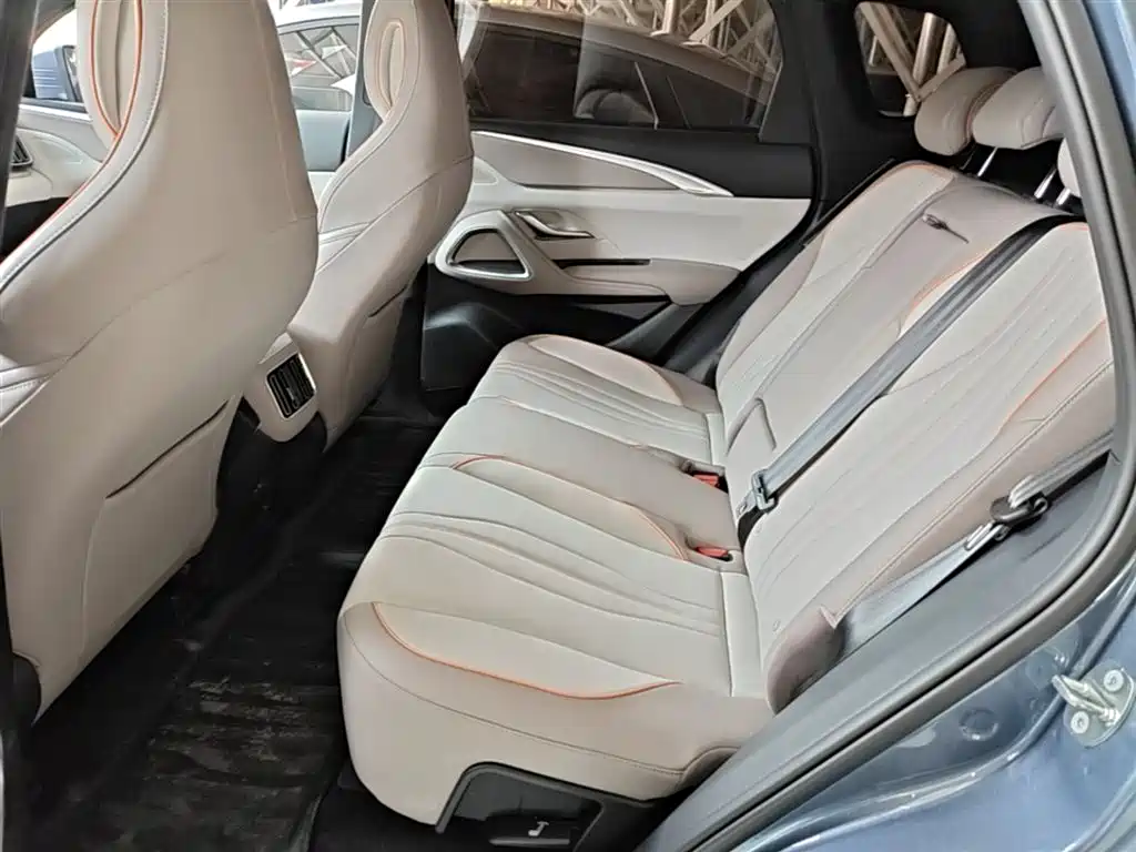 BYD Song Pro New Energy 2024 Glory Edition DM-i 71KM Pilot фото 17