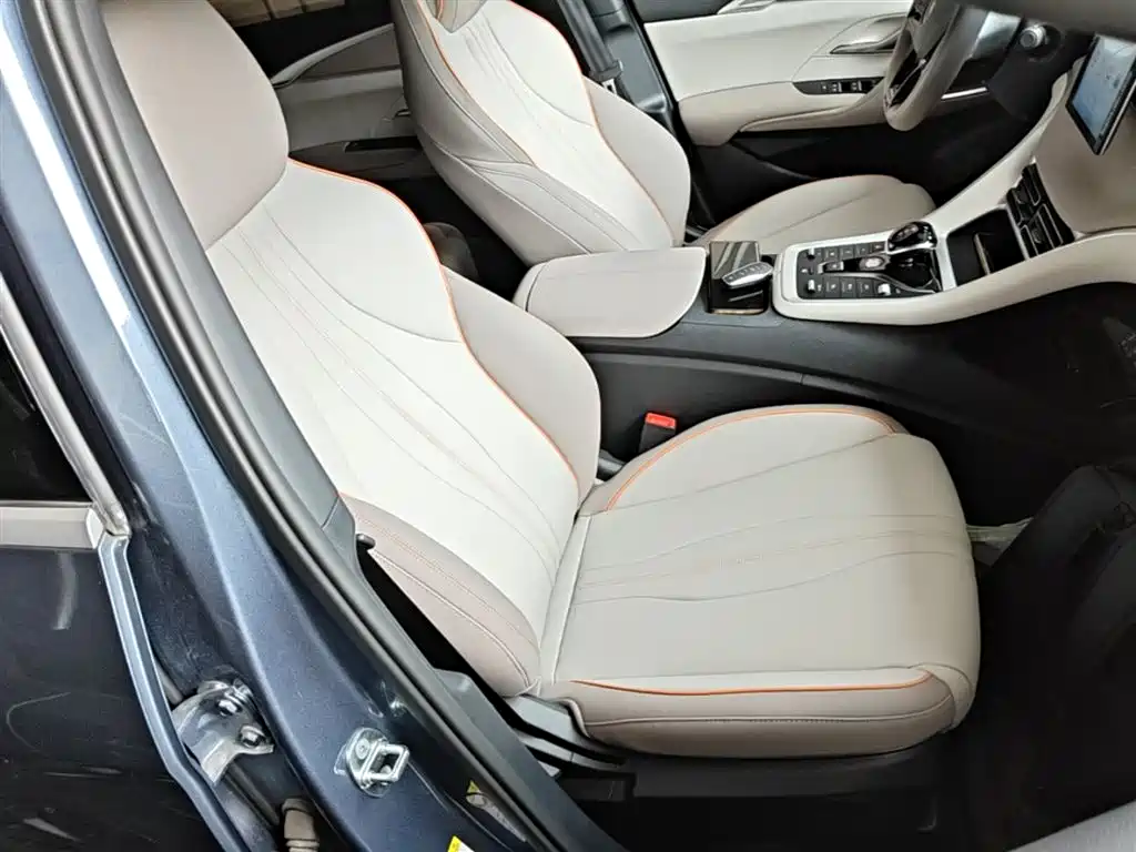 BYD Song Pro New Energy 2024 Glory Edition DM-i 71KM Pilot фото 25