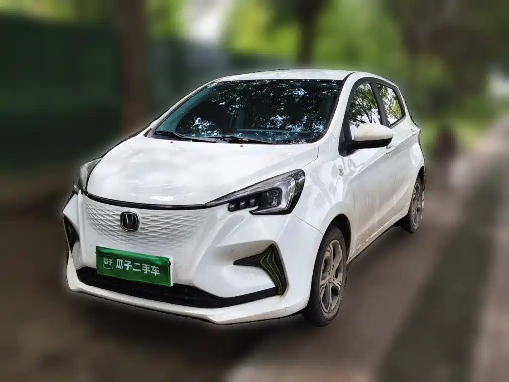 Changan Benben E-Star 2022 2022 Serenity Edition Colorful LFP