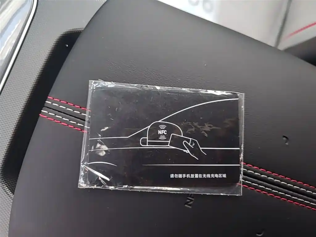 BYD Destroyer 05 2023 Champion Edition DM-i 55KM Luxury фото 9