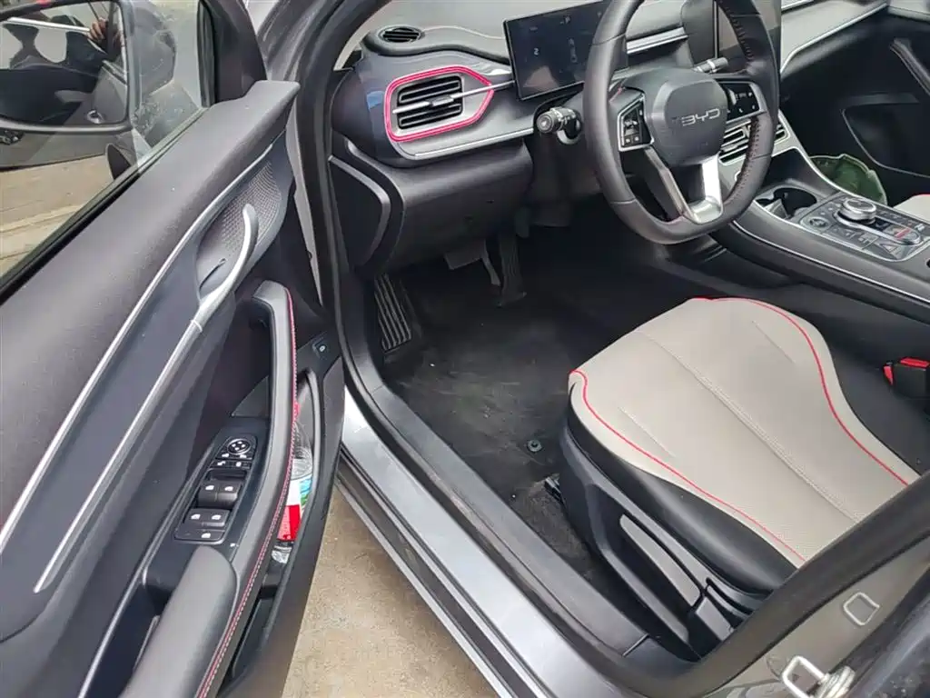 BYD Destroyer 05 2023 Champion Edition DM-i 55KM Luxury фото 16