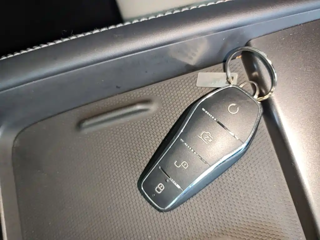 BYD Seal 06 New Energy 2024 2024 DM-i 120KM Honor
