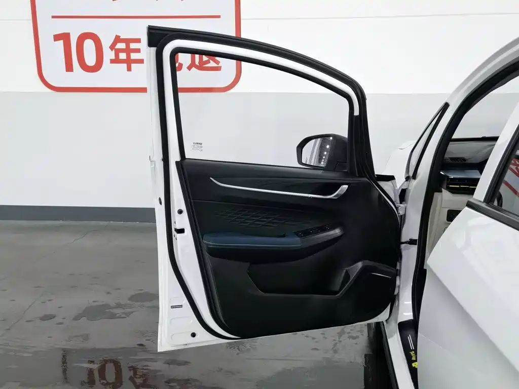 Geely Geometry EX3 Kung Fu Bull 2022 2021 Strong Bull