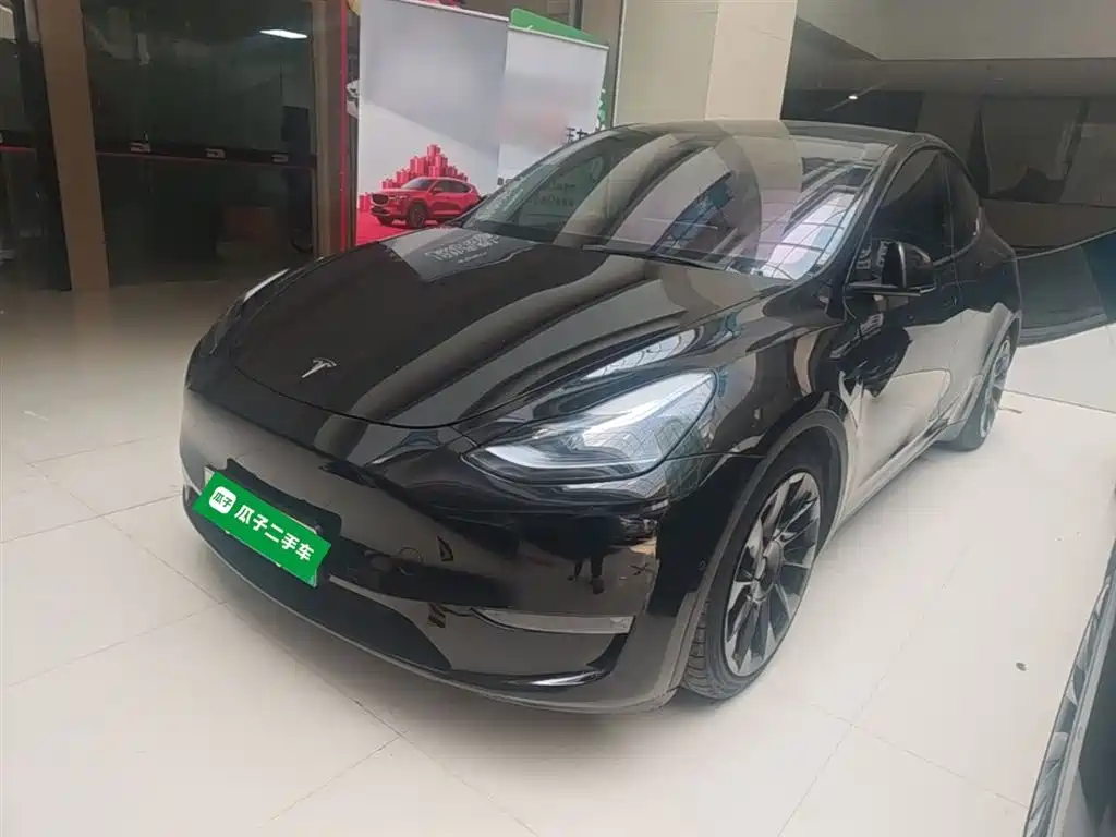 Tesla Model Y 2021 Standard Range Rear-Wheel Drive