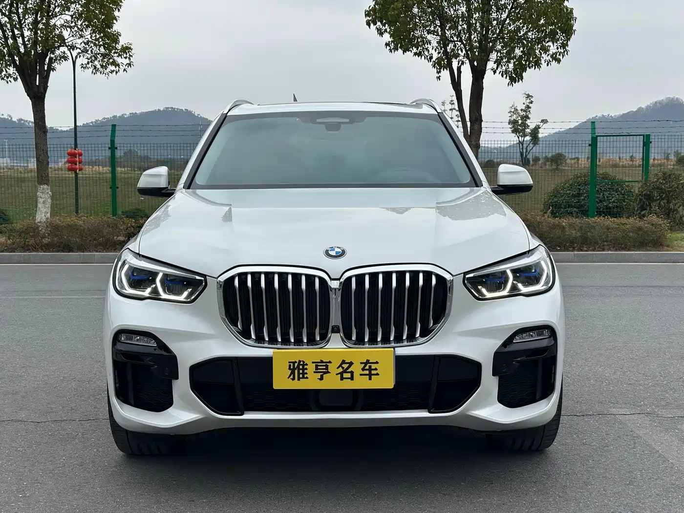 BMW X5 (Import) 2022 xDrive40i Premium M Sport Package фото 2