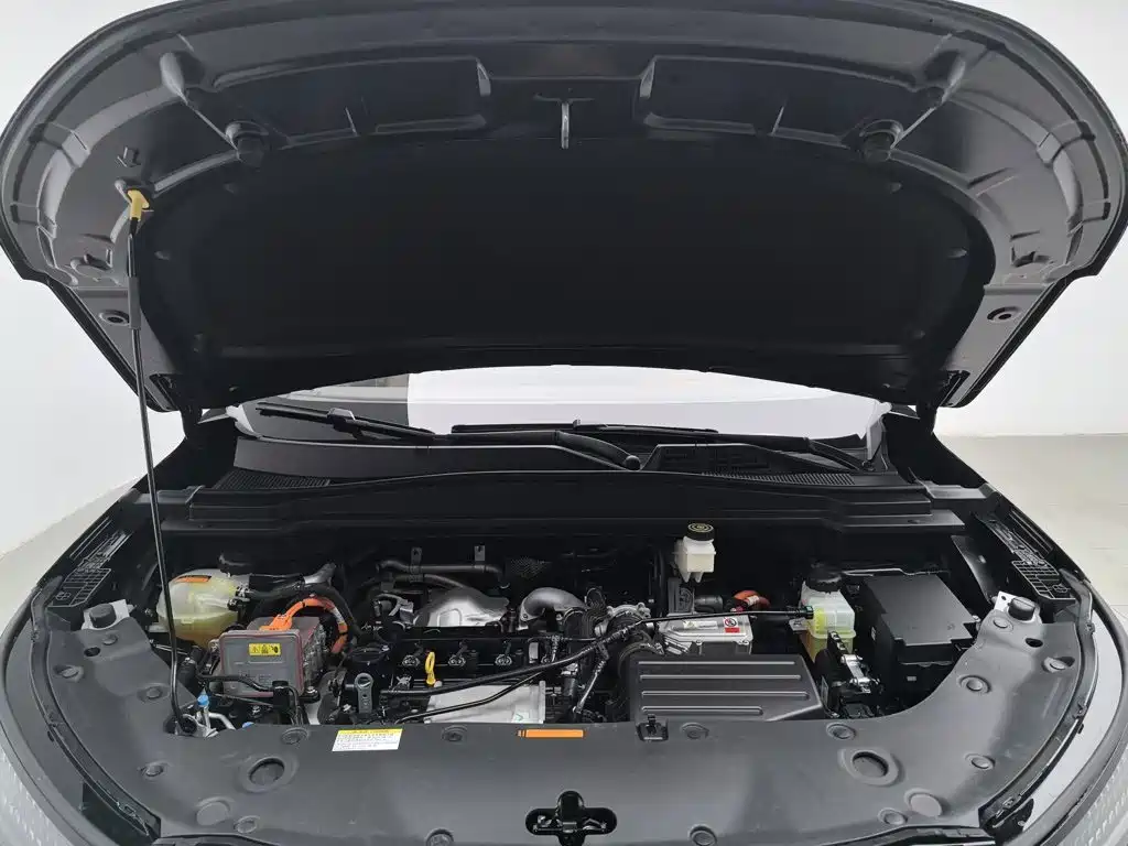 Фото 6 - Dongfeng Aeolus L8