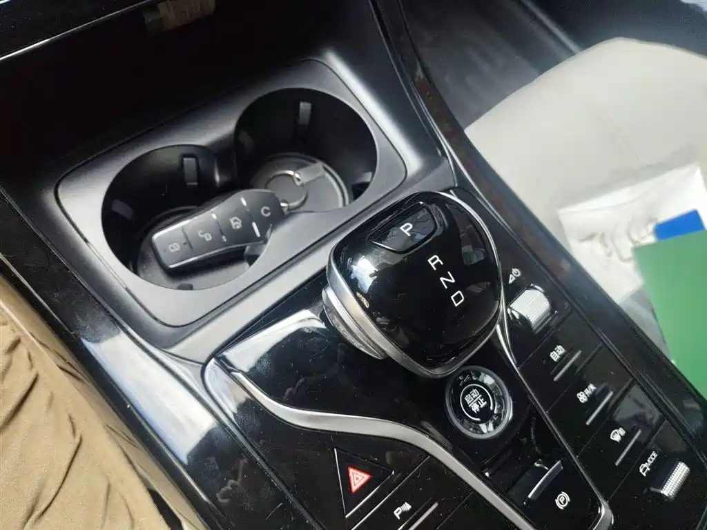BYD Qin PLUS 2024 Glory Edition DM-i 55KM Leading фото 11