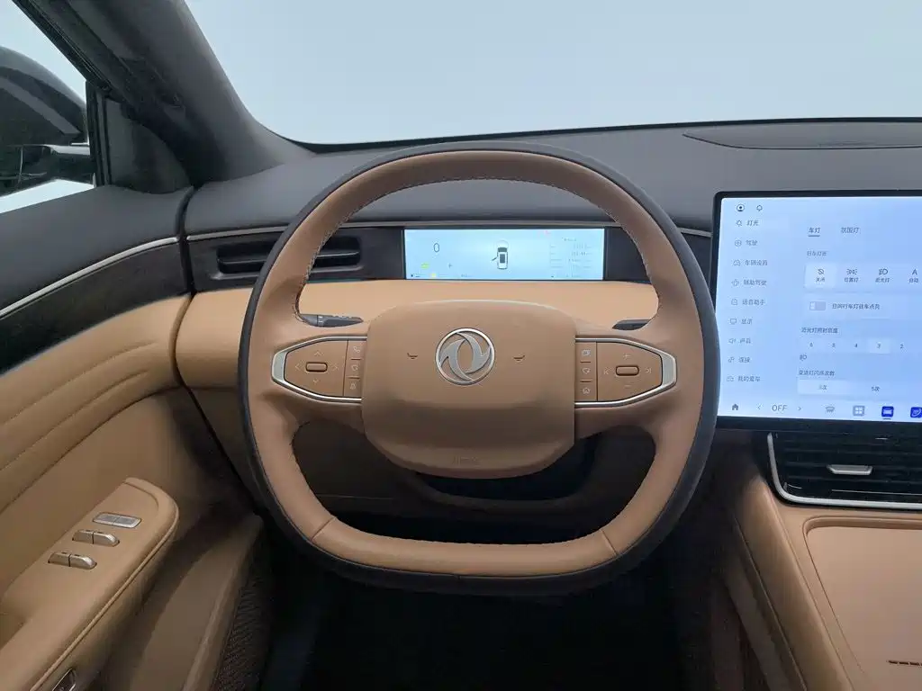 Фото 11 - Dongfeng Aeolus L8