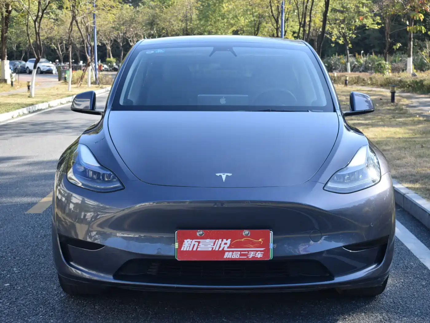TESLA MODEL Y