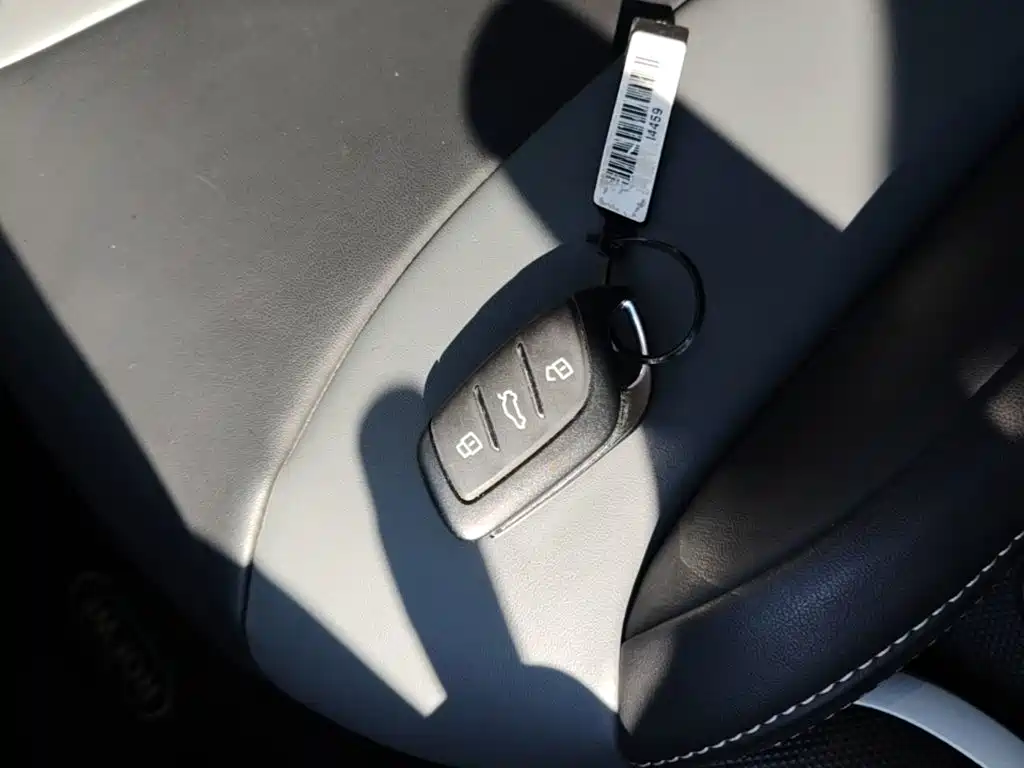 Roewe Clever 2024 2022 311km Vitality Bobo Edition