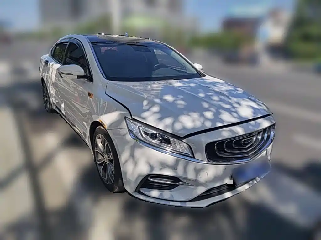 Фото 6 - Geely Borui
