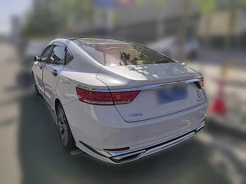 Фото 7 - Geely Borui