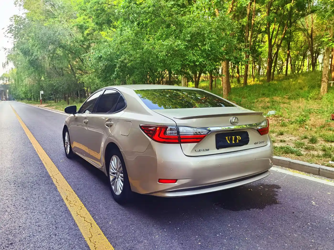 Lexus ES 2015 200 Elite Edition фото 4