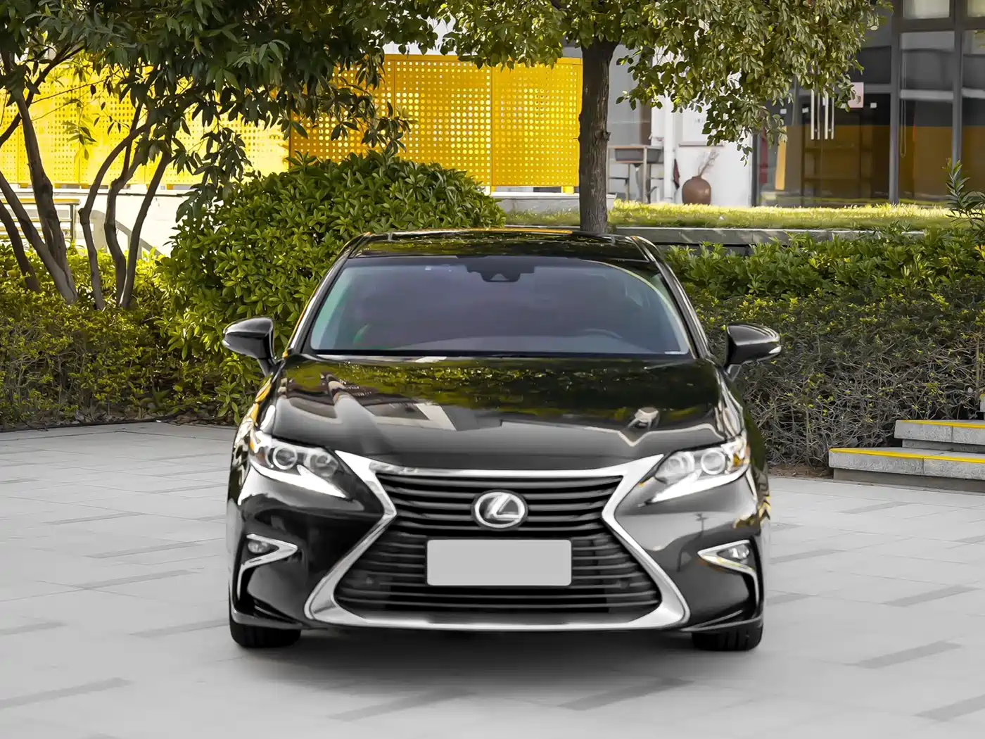 Lexus ES 2015 300h Luxury Edition фото 2