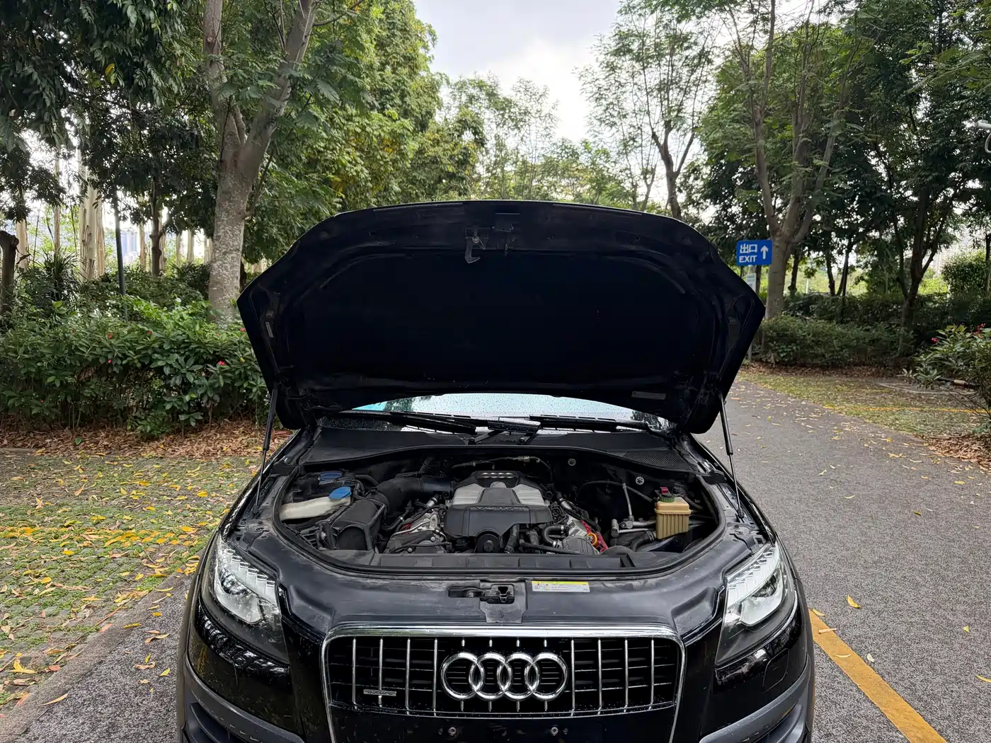 Audi Q7 2014 40 TFSI Off-road фото 12