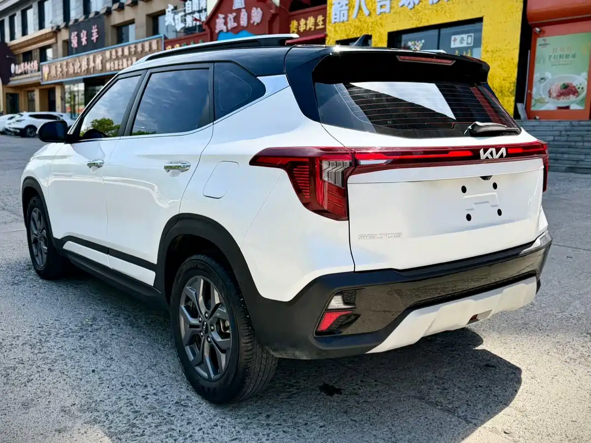 Kia Seltos 2023 1.5L CVT Luxury Edition фото 4