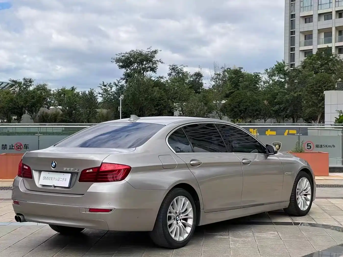 BMW 5 Series 2014 525Li Luxury Design Package фото 9