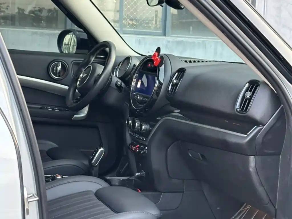 MINI COUNTRYMAN 2020 2019 2.0T COOPER S ALL4 Artist