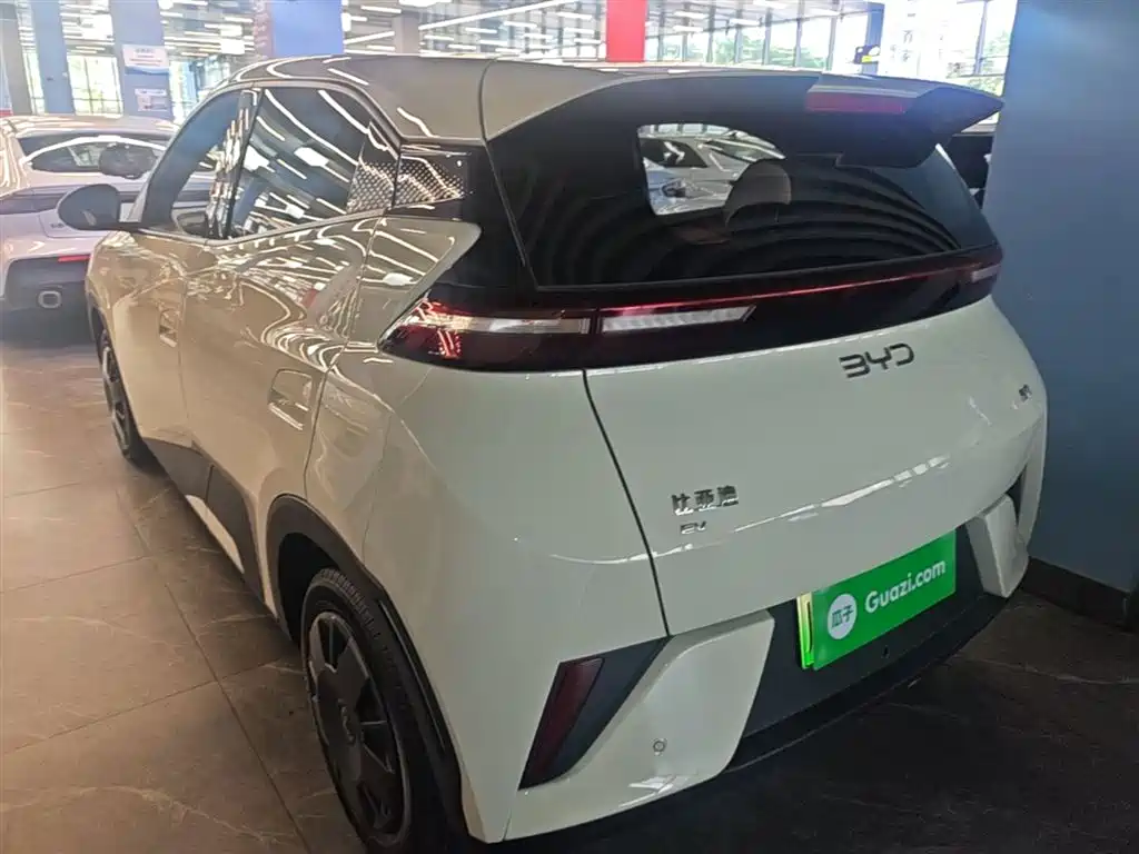 BYD Seagull 2025 Smart Drive Edition 305km Vitality Version фото 5