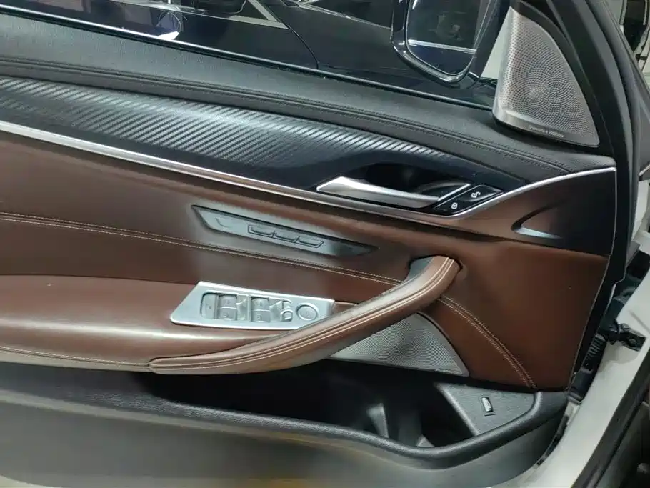 BMW 5 Series 2018 Facelift 530Li xDrive Luxury Package фото 7