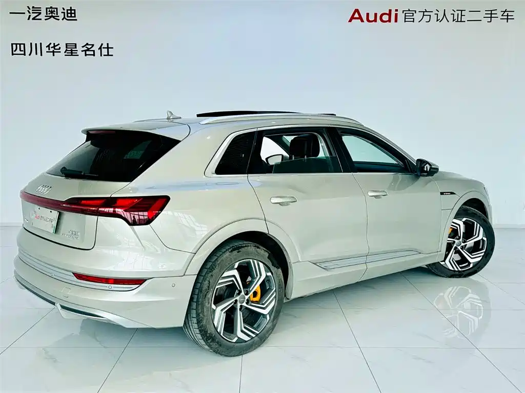 Audi e-tron 2021 50 quattro Exclusive Selection фото 4