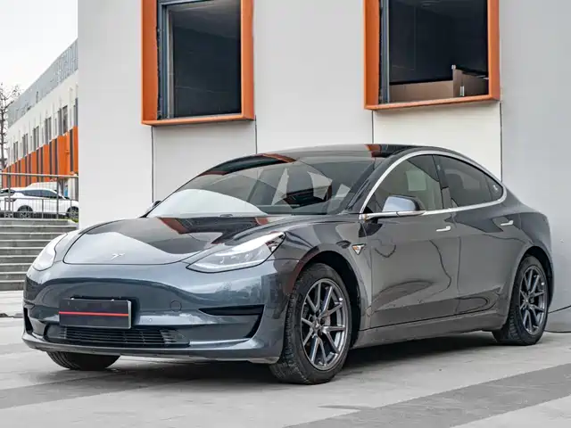 TESLA MODEL 3 2020