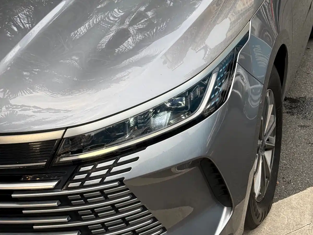 BYD Destroyer 05 2023 2023 Champion Edition DM-i 55KM Luxury